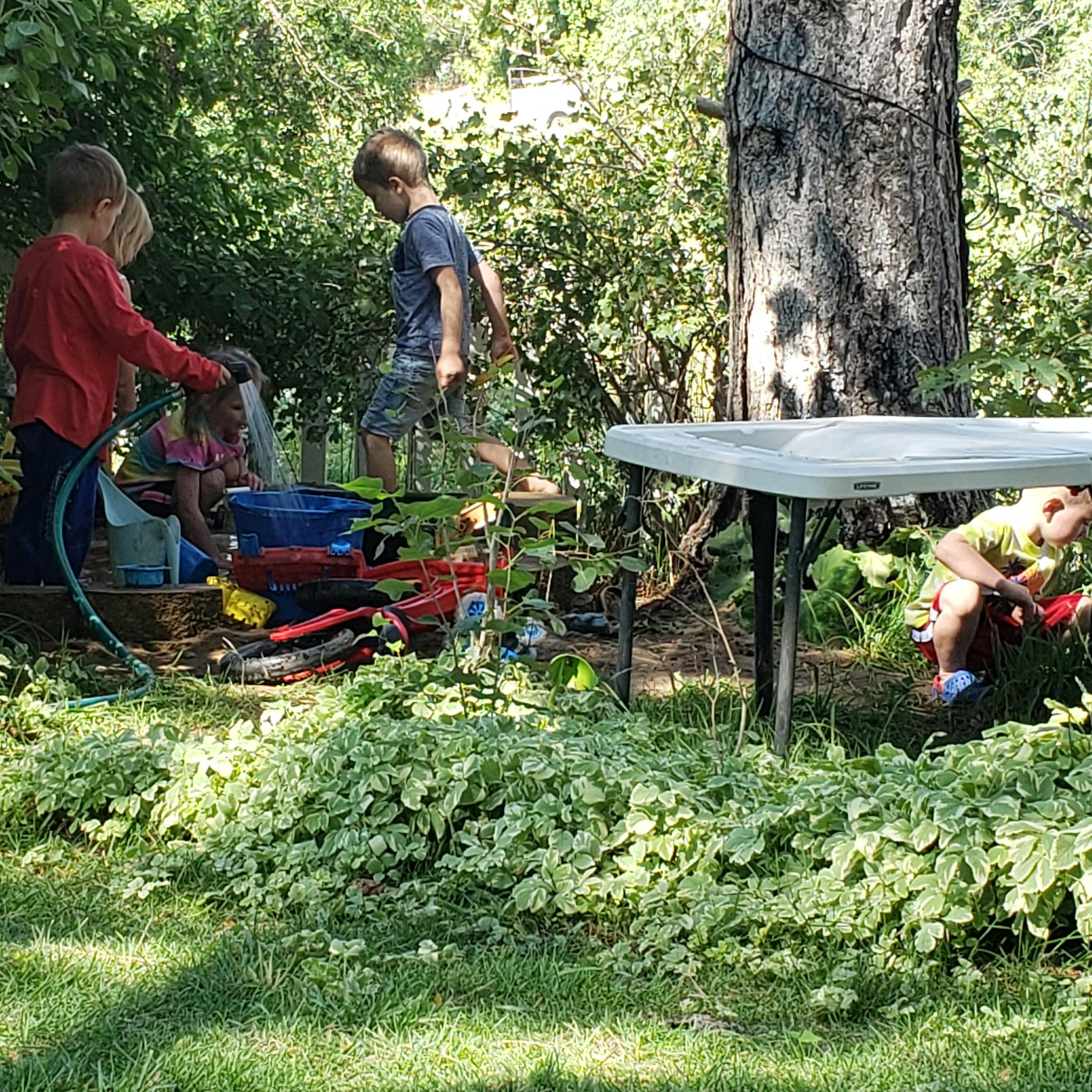 Children playing outdoors with water and toys