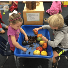 Two children playing with gourds and pinecones in a blue bin