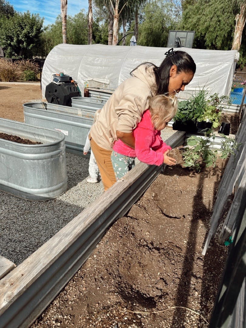 Person and child planting in a garden bed