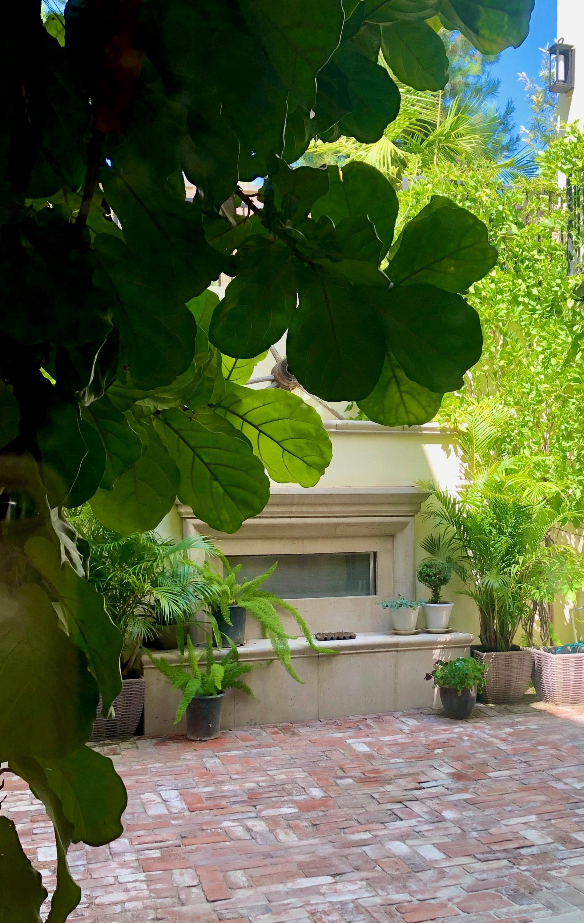 Brick patio with potted plants and a window