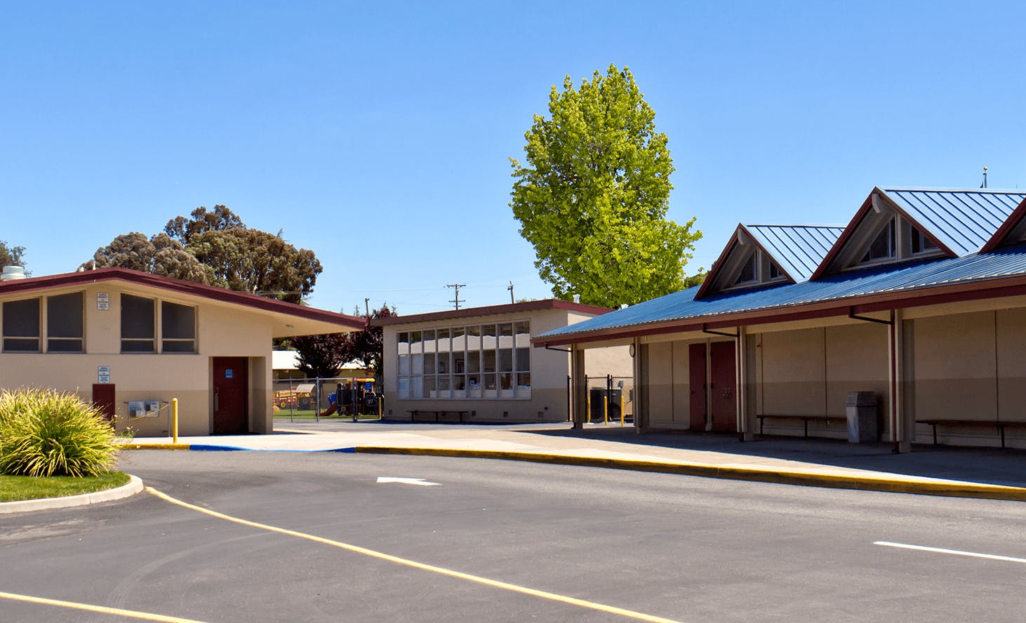 School buildings with a paved driveway and trees
