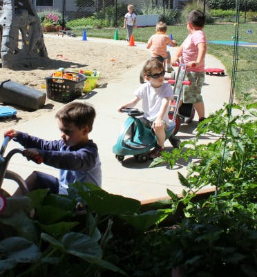 Children playing with ride-on toys on a paved path