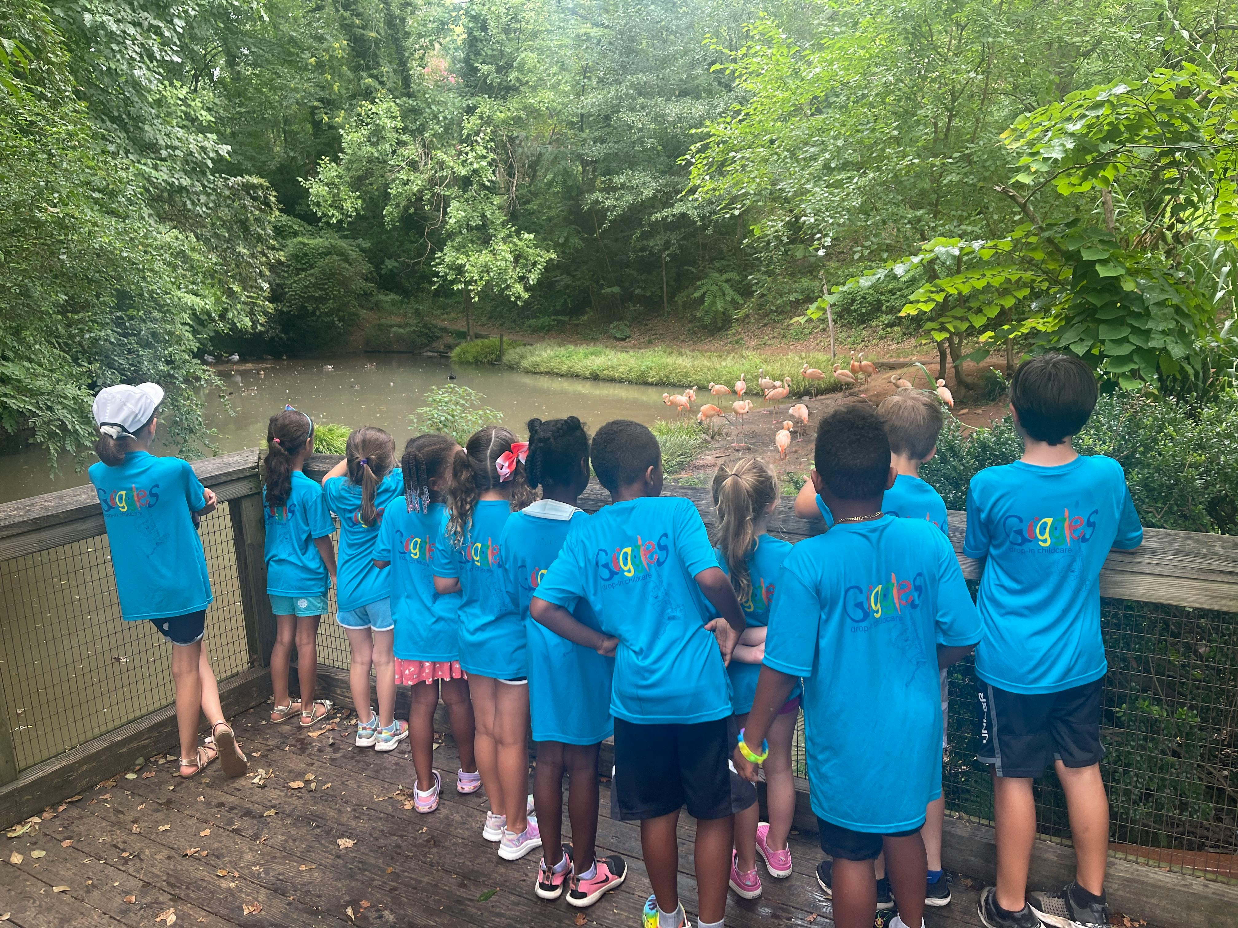 Group of children in blue shirts looking at a pond