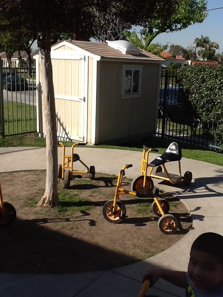 Yellow tricycles on a paved area next to a shed and tree