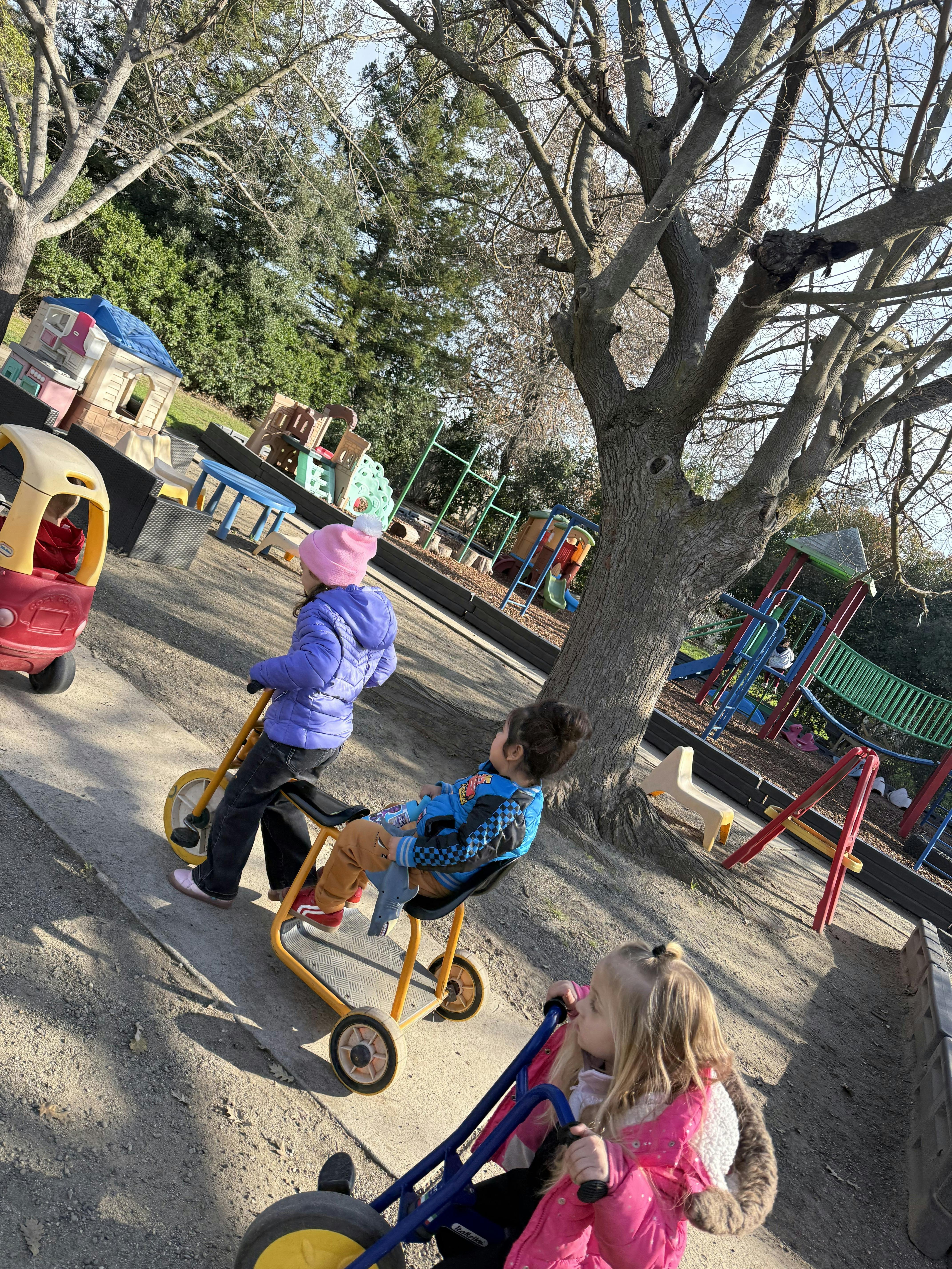 Children riding tricycles on a playground