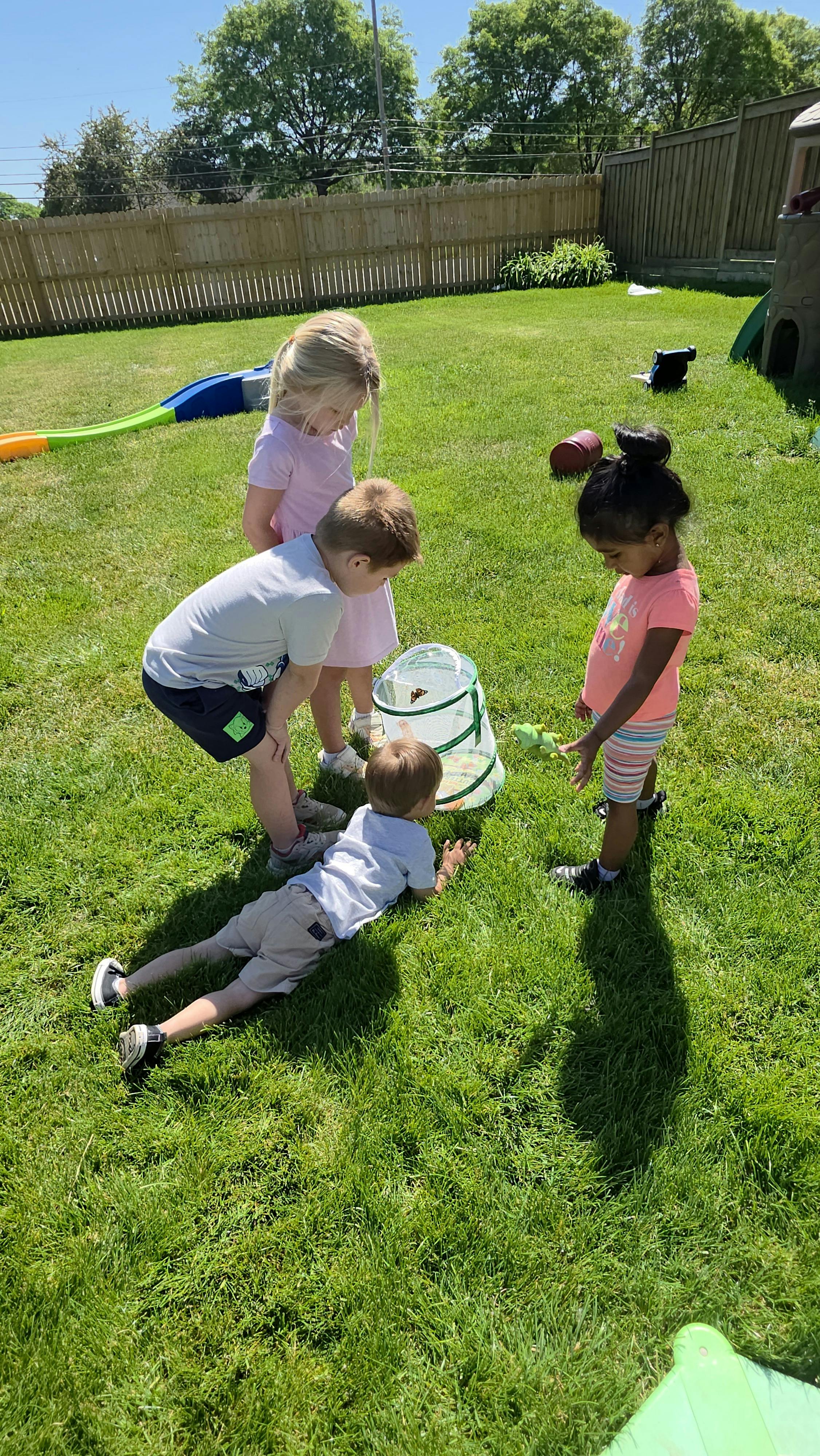 Four children observing a butterfly in a mesh habitat in a backyard
