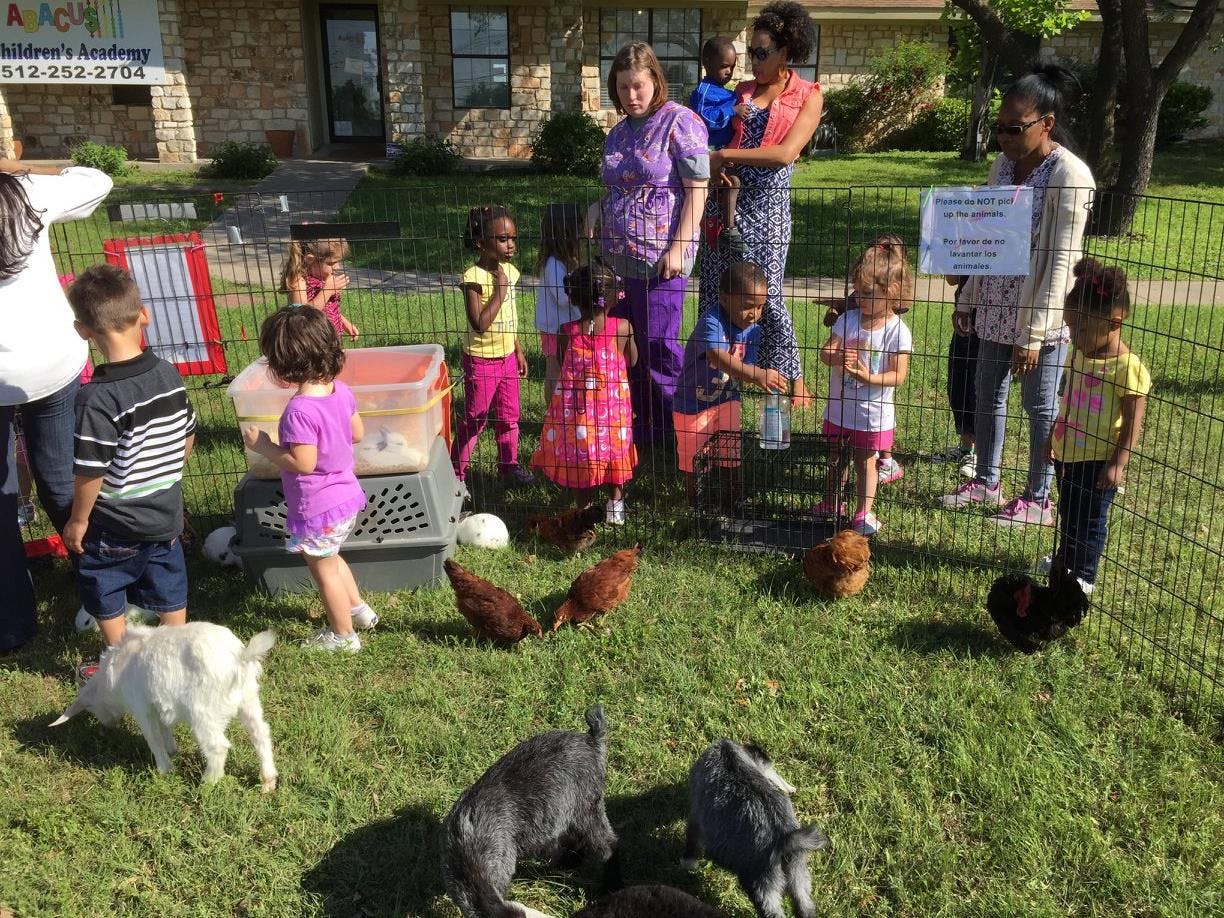 Adults and children interacting with chickens and goats in a grassy enclosure