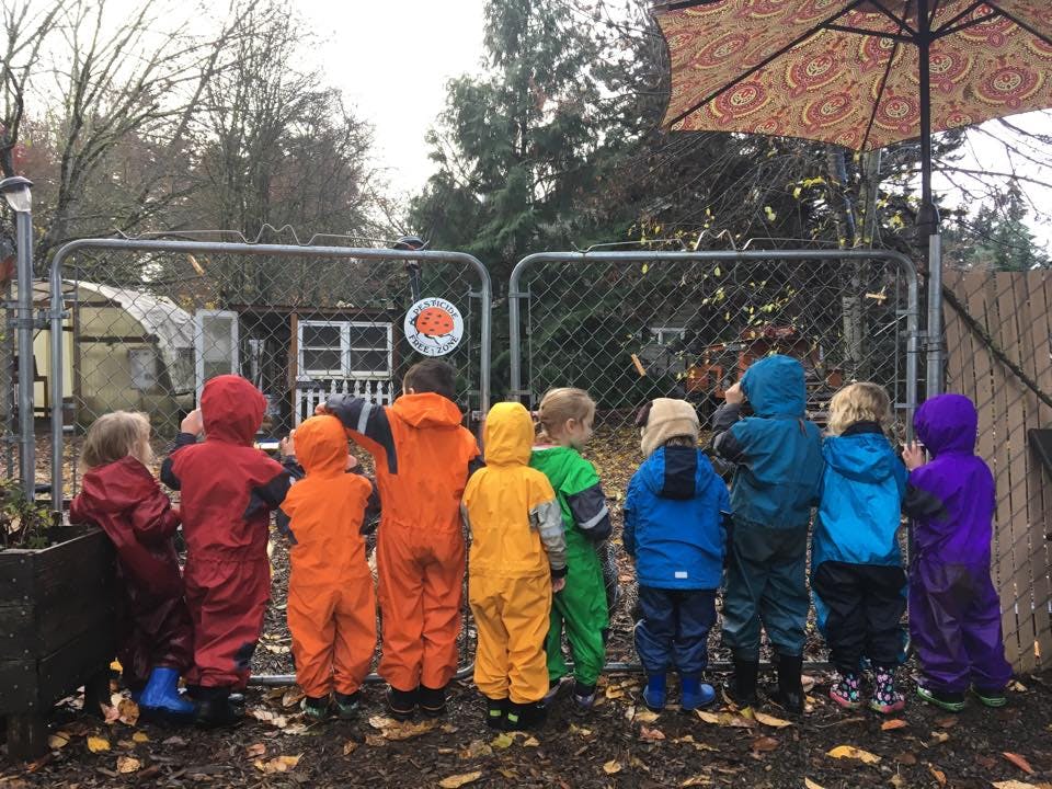 Children in colorful rain suits standing at a fence