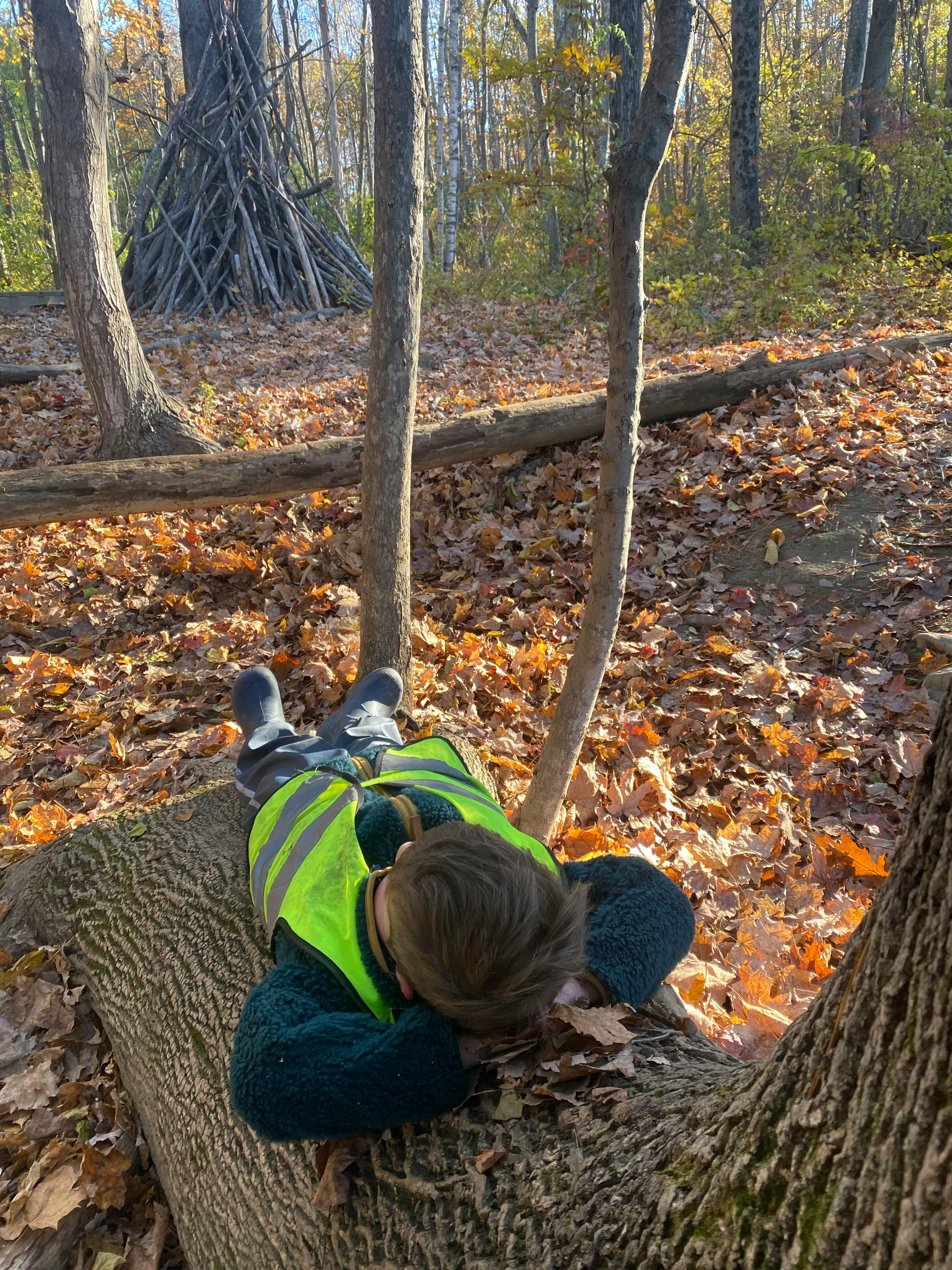 Child in a safety vest lying on a fallen tree trunk in a forest