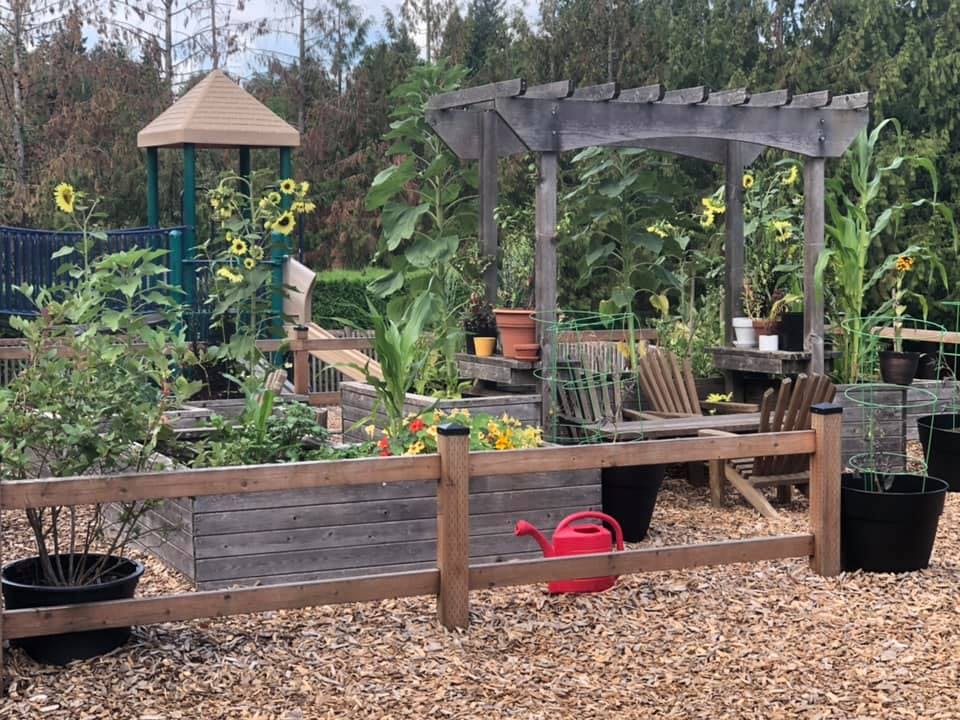 Community garden with raised beds, a wooden pergola, and a red watering can