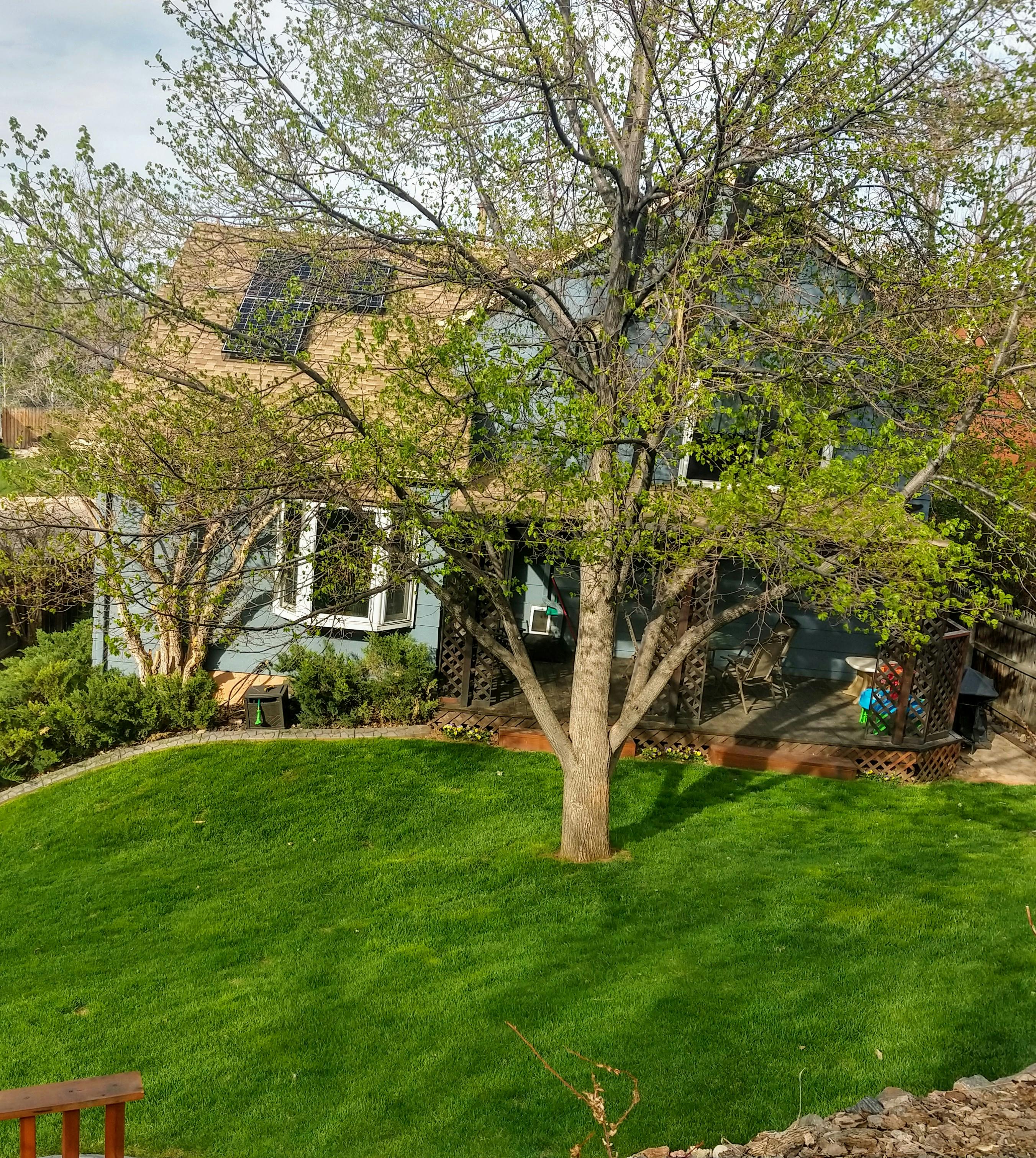 Golden Explorers School Aged Childcare Daycare In Golden Co Winnie