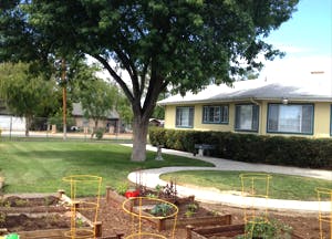 Garden beds with a winding path leading to a house