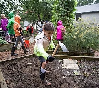 Child digging in a garden bed with a hoe, other children in background