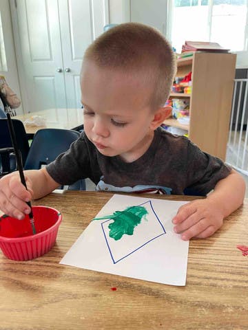 Child painting green inside a drawn square on paper