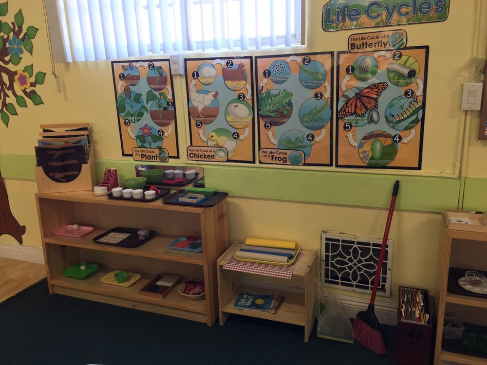 Classroom with educational posters on the wall and wooden shelves with learning materials
