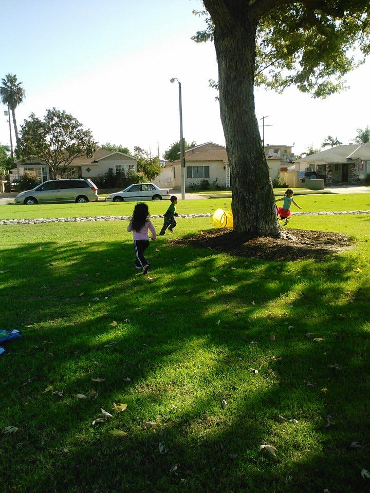 Children playing in a grassy park near a tree