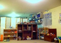room with shelves and storage for toys and books