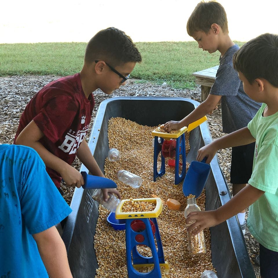 Children playing with grain in a large bin