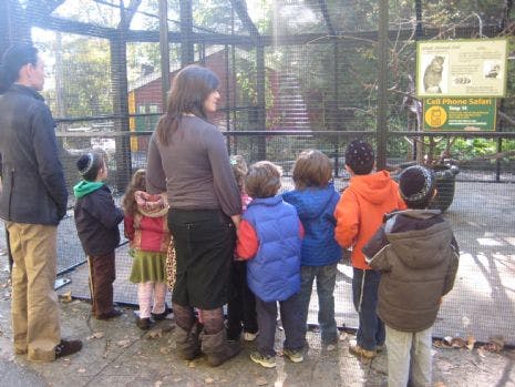 Adults and children looking into an animal enclosure