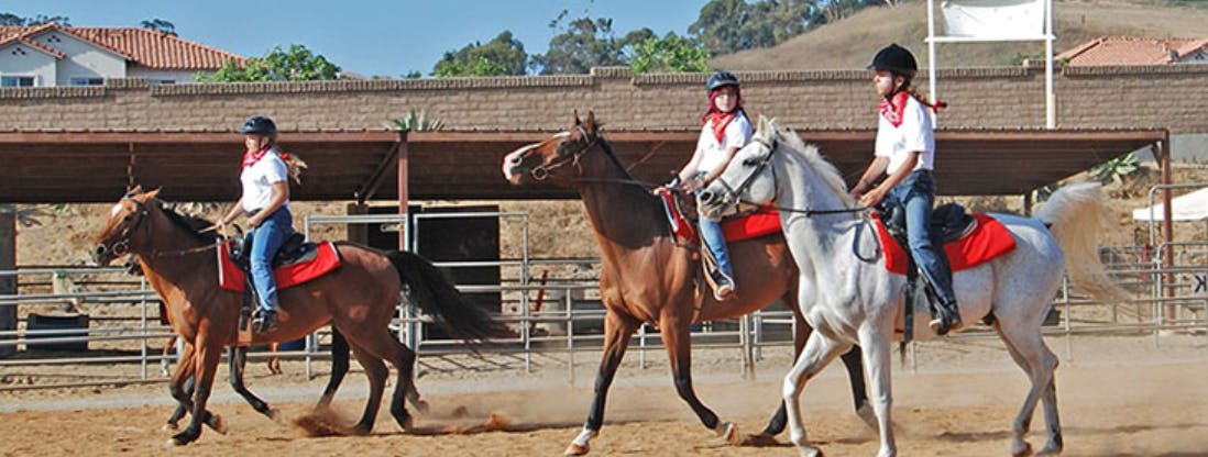 Three people riding horses in an arena