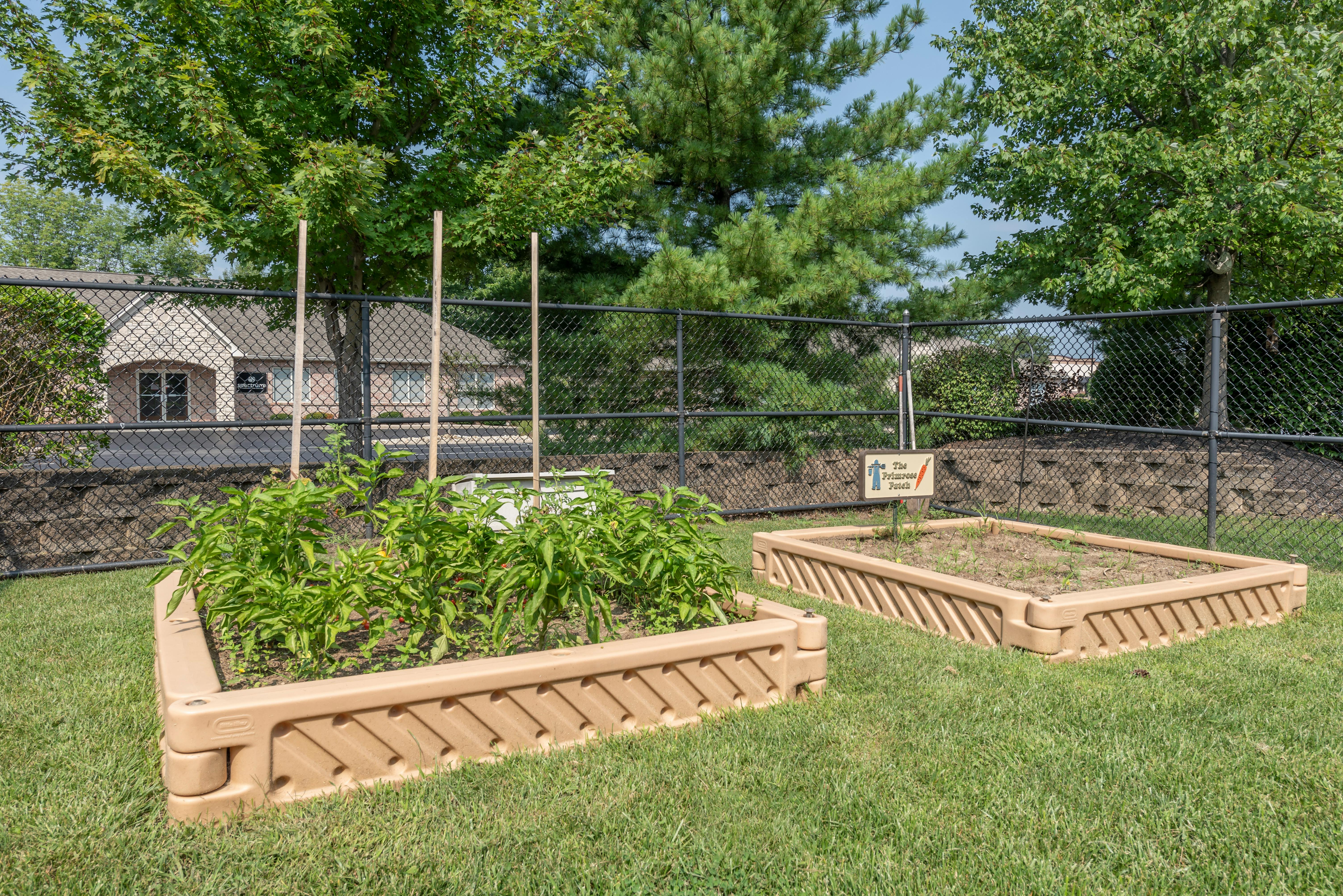 Two elevated garden beds with plants growing in green grass