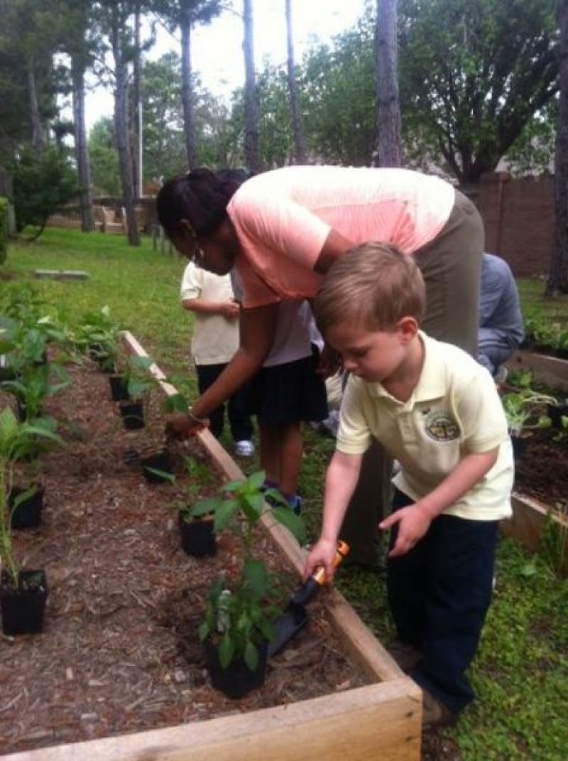 Adult and child planting in a garden bed