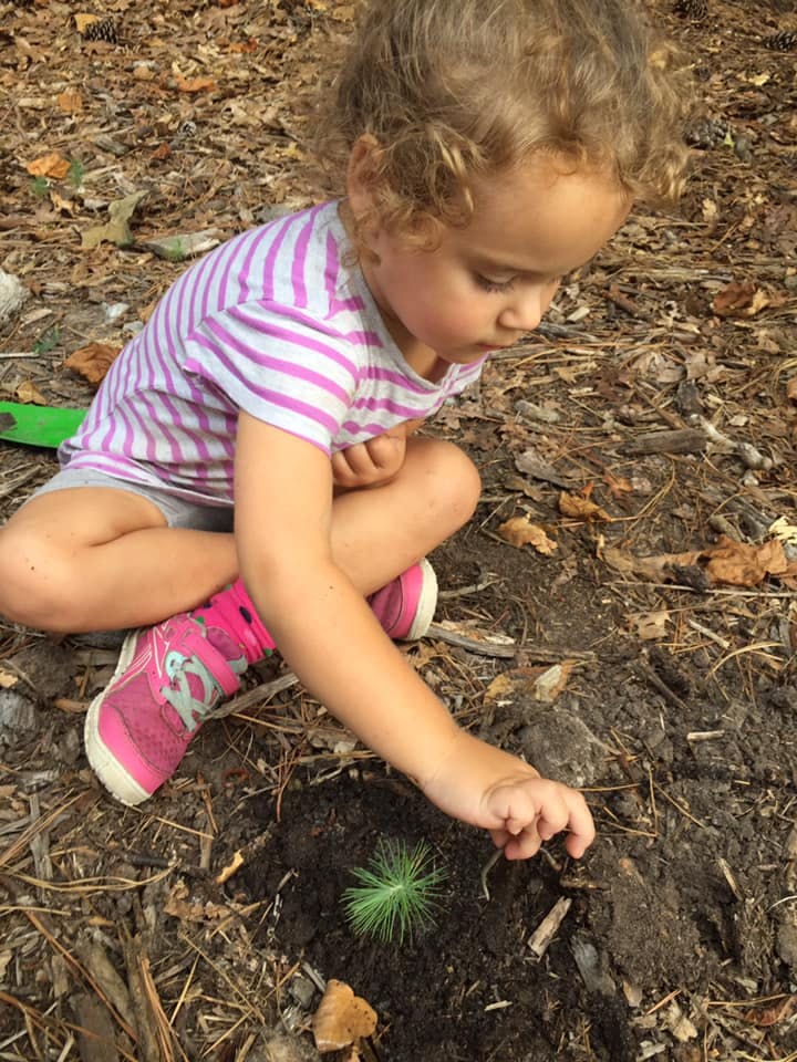 Child crouching and touching a small plant in the dirt