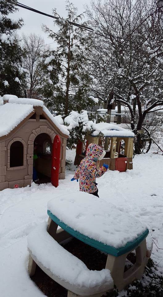 Little Pals Daycare in Au Sable, MI