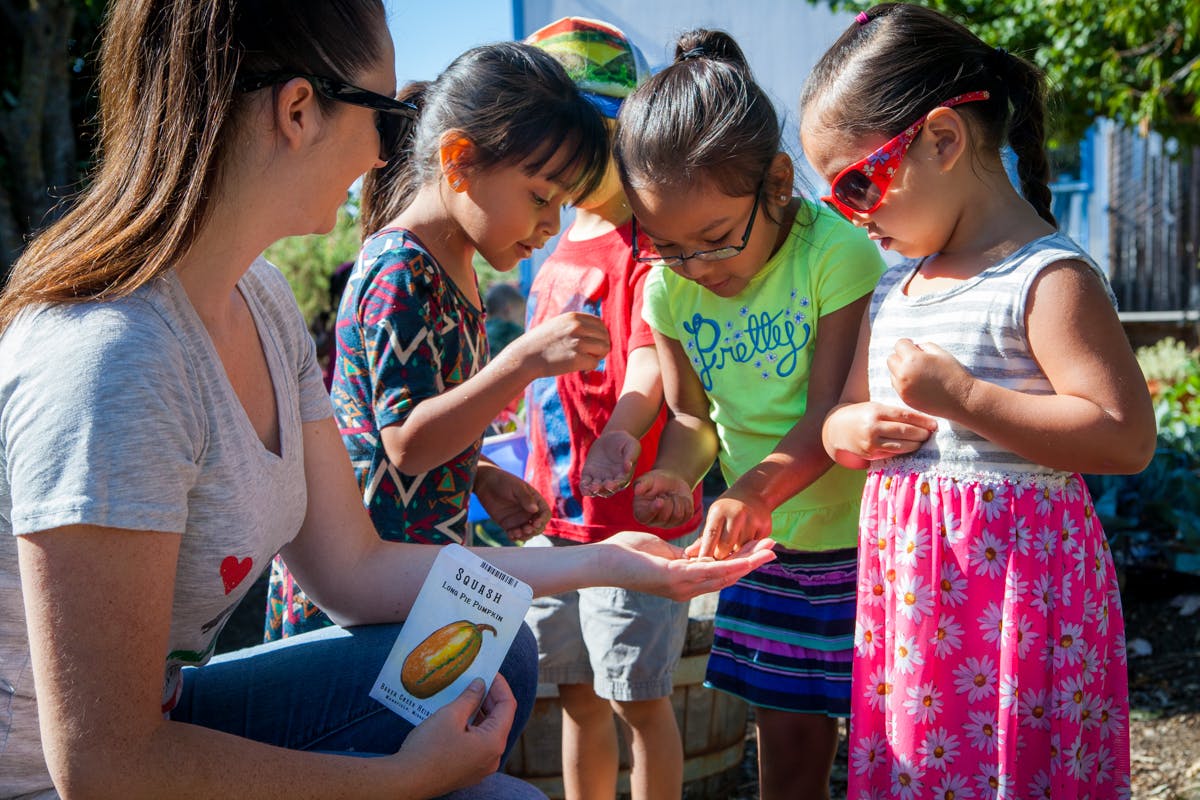 Adult showing small objects in hand to three children