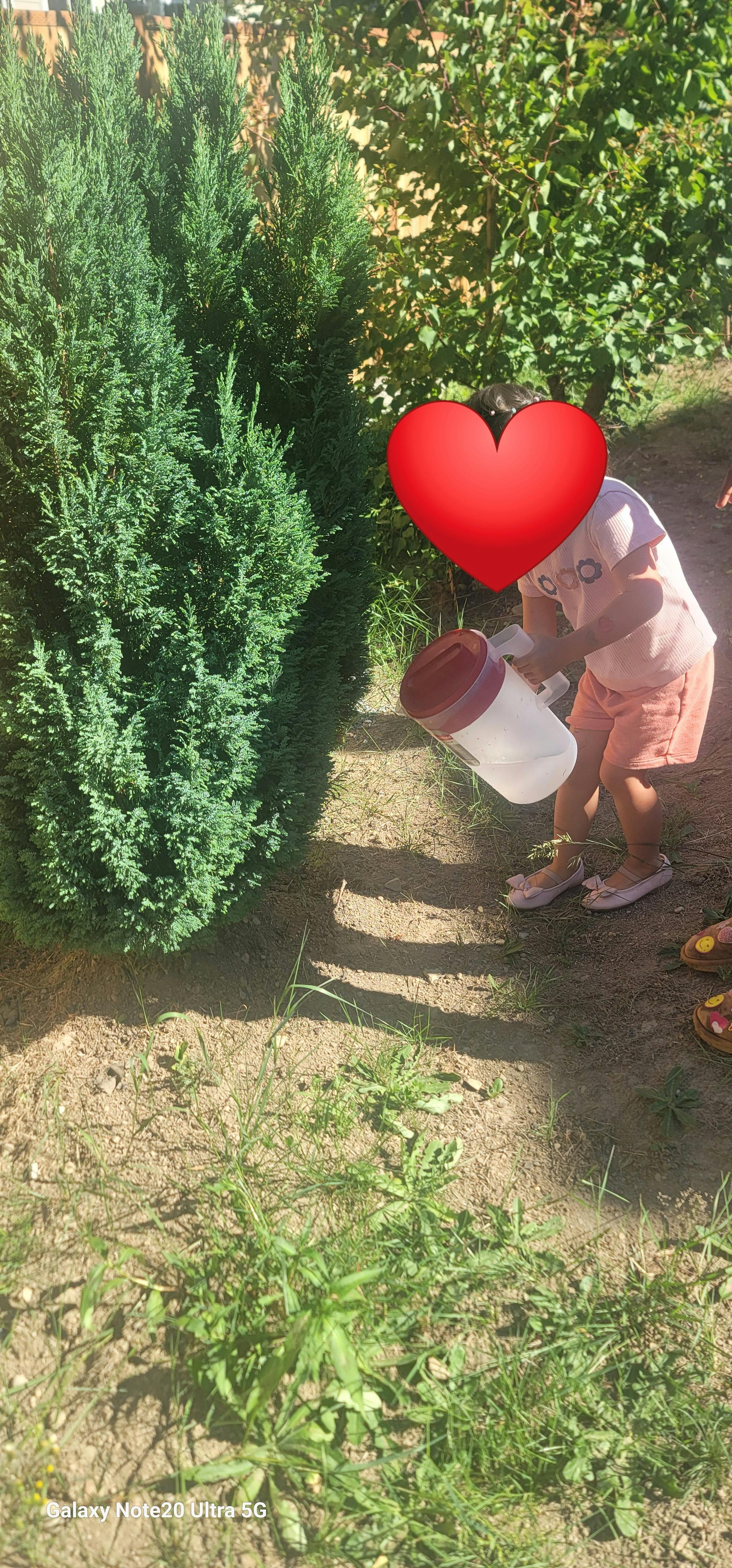 Honeybear Childcare in Everett, WA