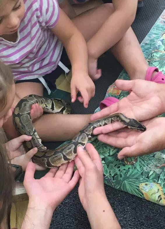 Almost Home Daycare Daycare In Ridgefield Ct Winnie