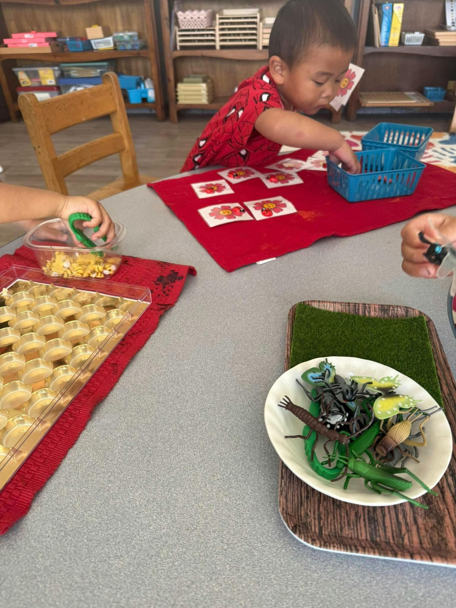 Child playing with flower cards and blue baskets in a classroom setting