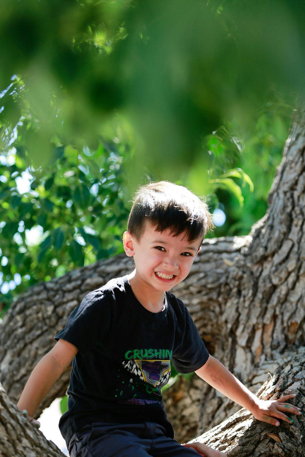 Child sitting in a tree