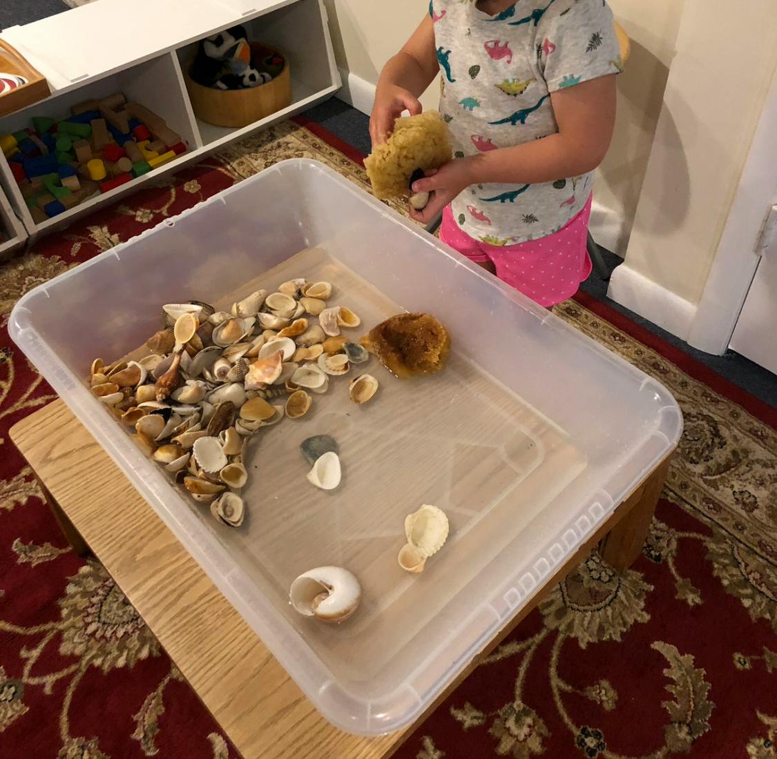 Child holding a sponge over a bin of seashells