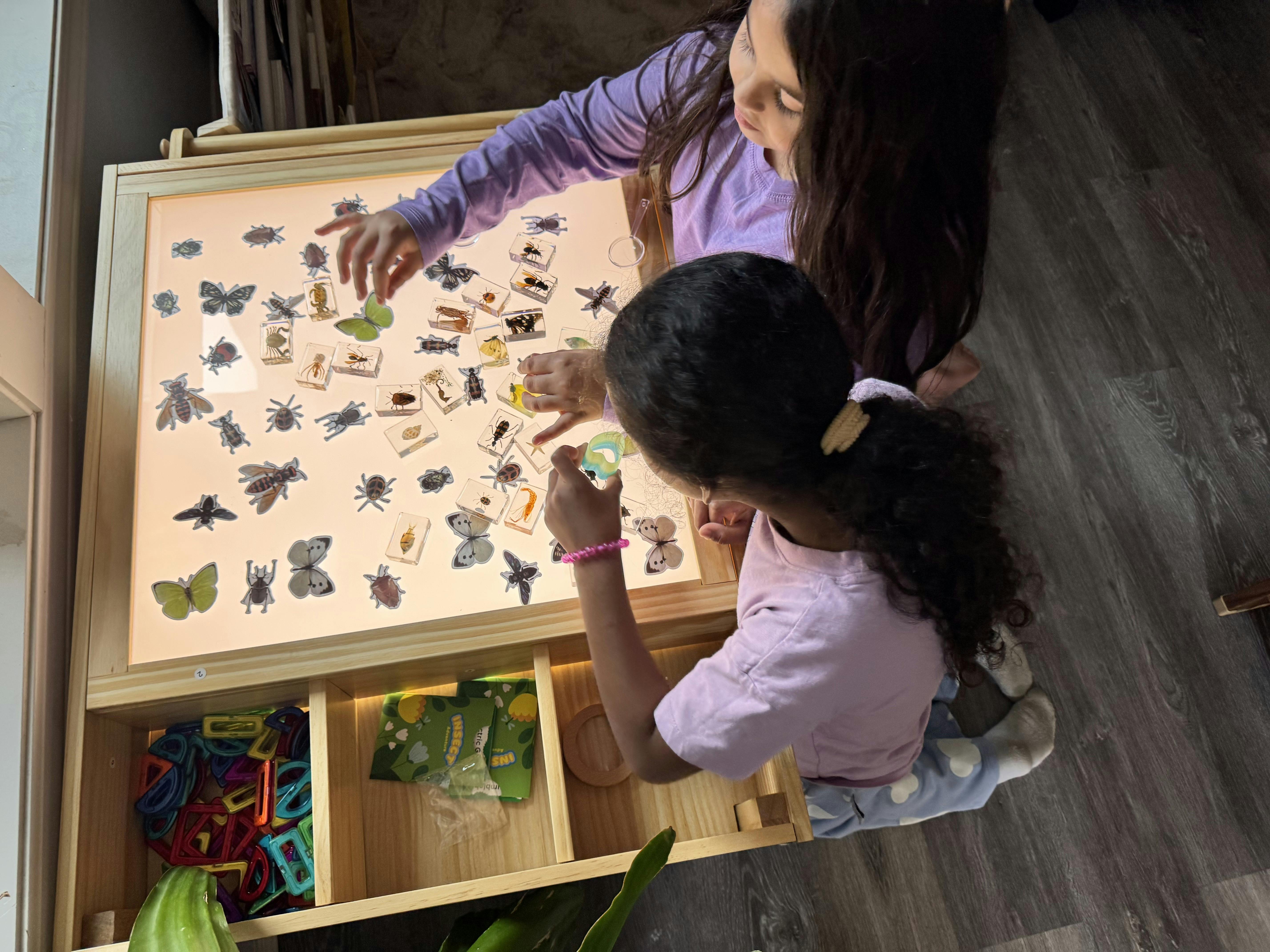 Two children examine insect specimens on a light table