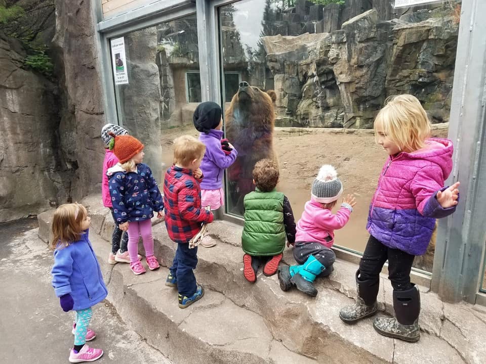 Children looking at a bear through a glass enclosure