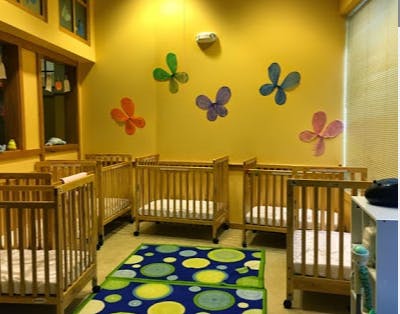 Multiple cribs in a room with butterfly wall decorations