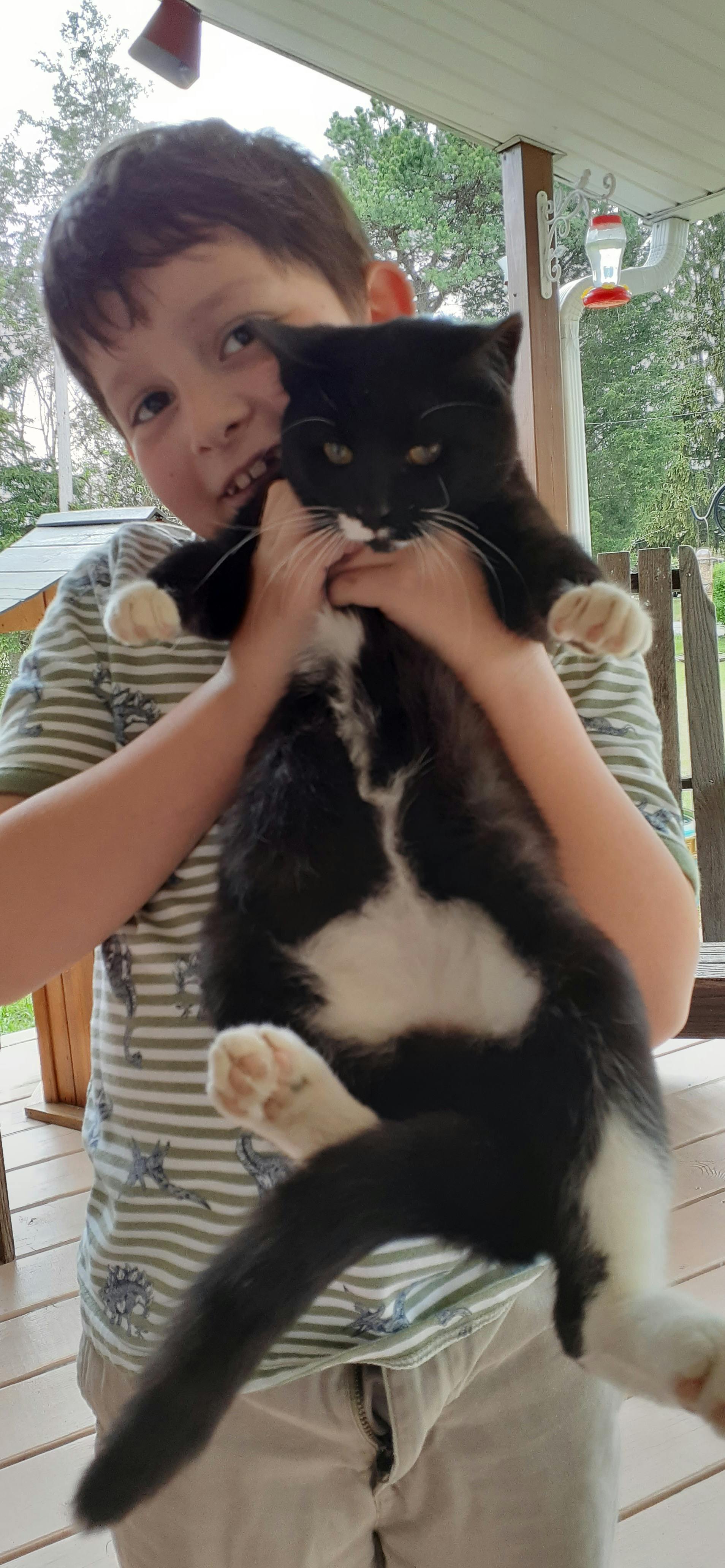 Child holding a black and white cat