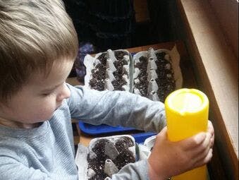 Child planting seeds in egg cartons