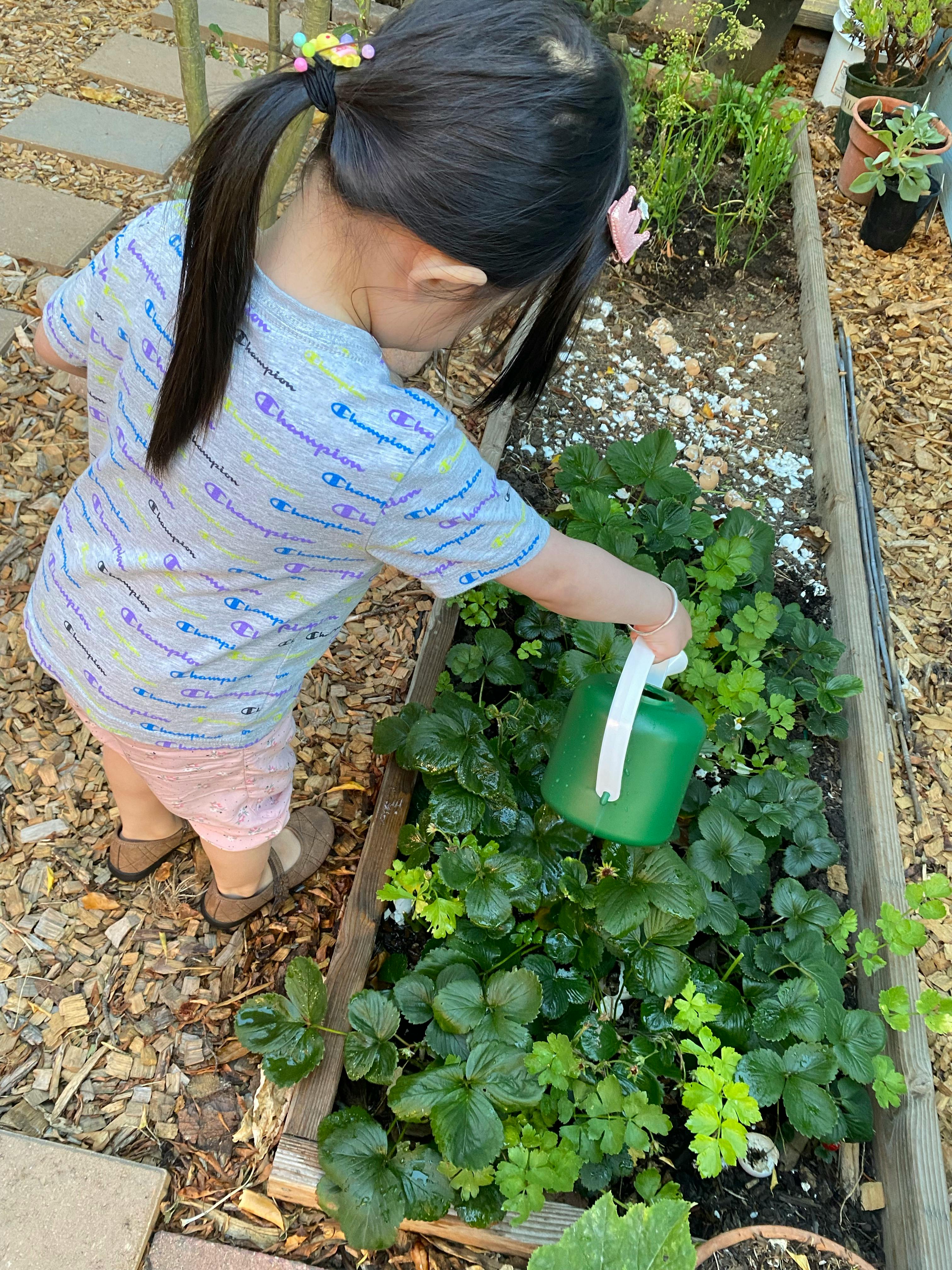 Child watering plants in a garden bed