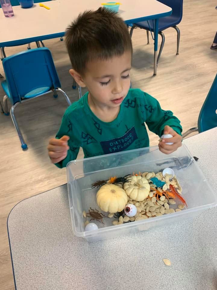 Child looking at a sensory bin with pumpkins and other objects
