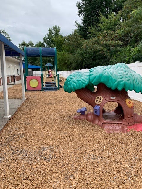 Playground with a tree-shaped play structure and a climbing frame