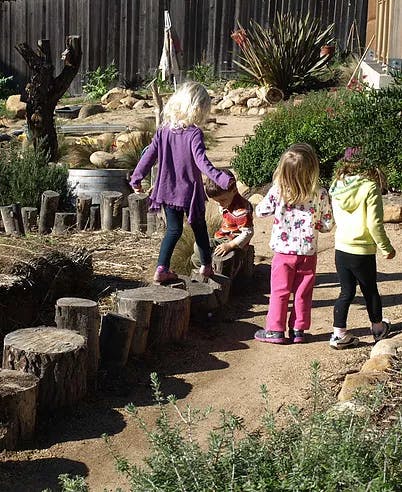 Children playing on tree stumps outdoors