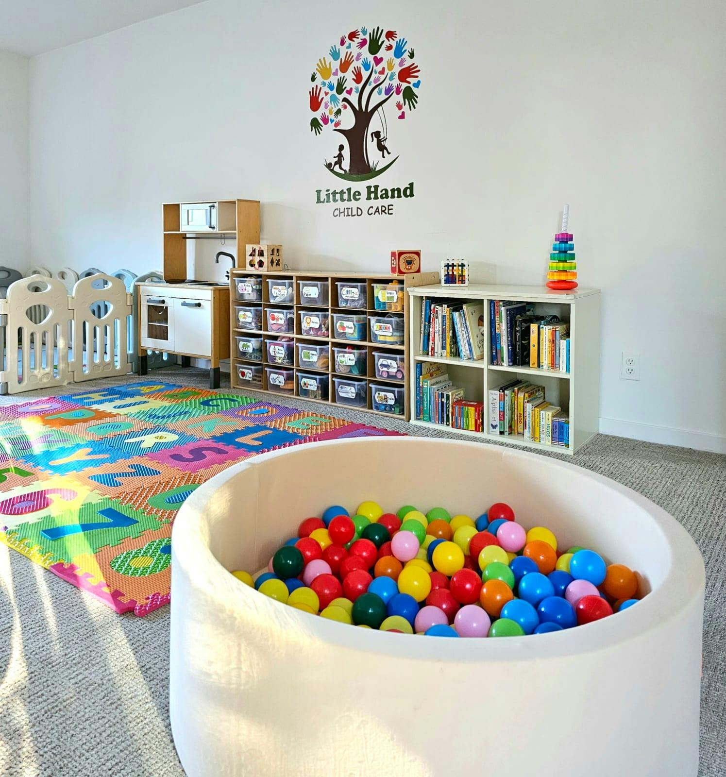 Playroom with a ball pit, alphabet mat, and shelves of shelves with toys and books