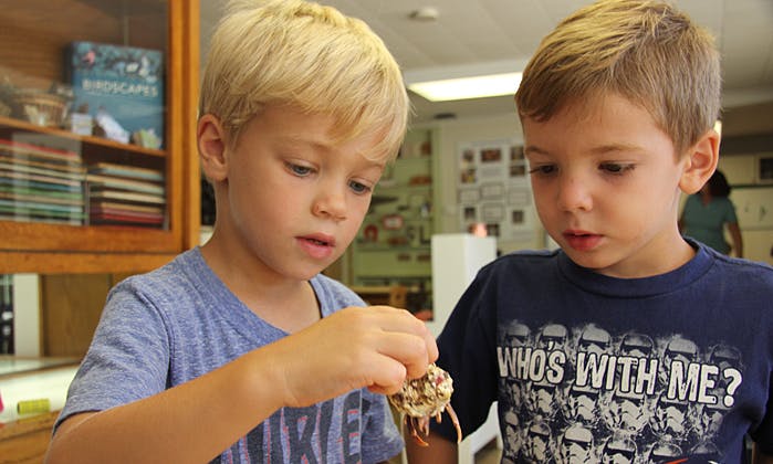Two children looking at an object held by one child