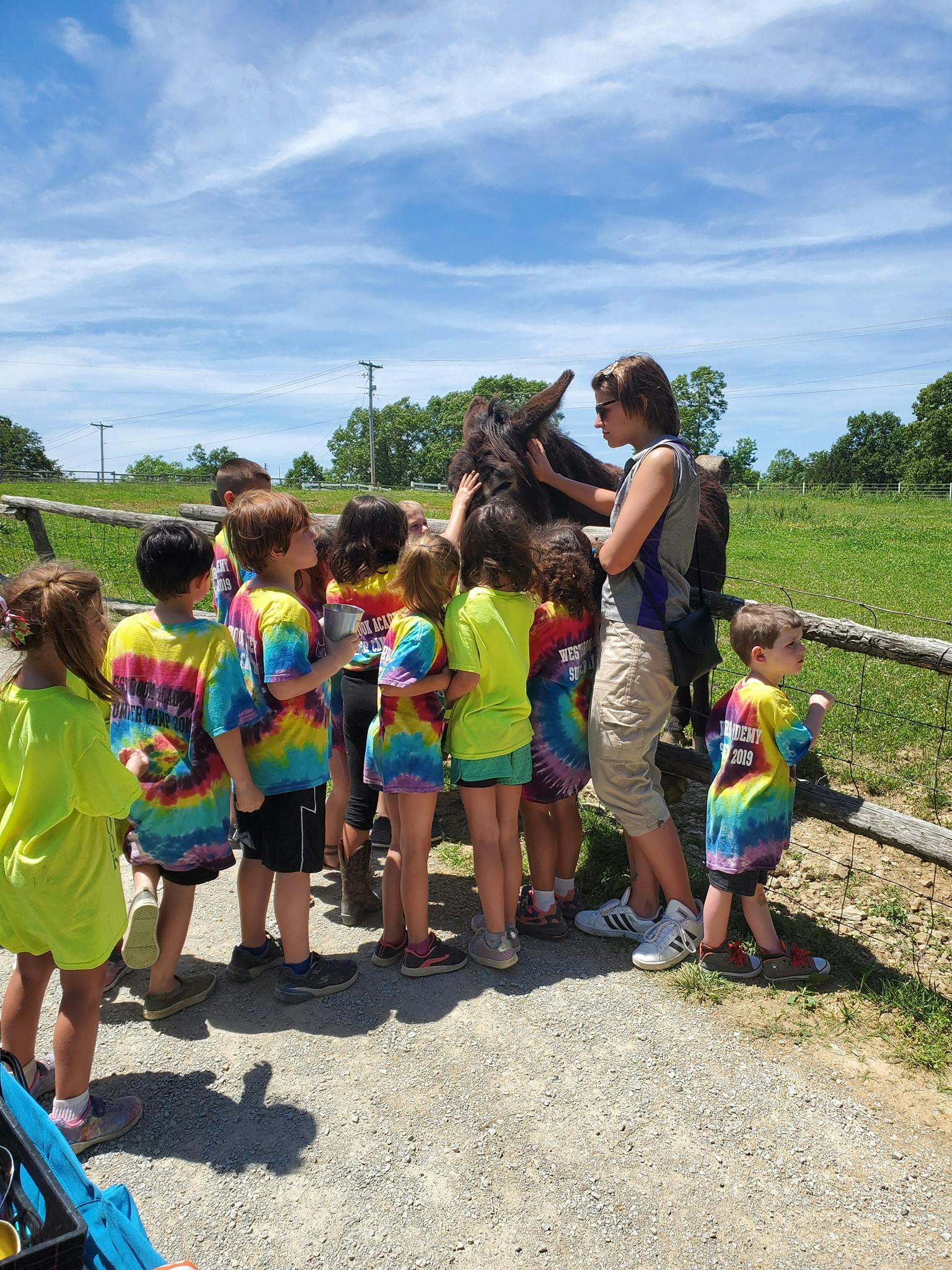 Person and children petting a donkey outdoors