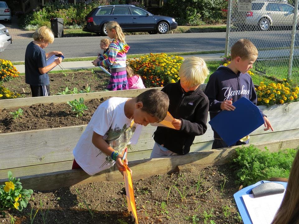 Children working in raised garden beds