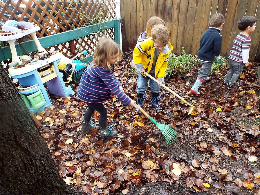 Petaluma Village Preschool Preschool in Petaluma, CA Winnie
