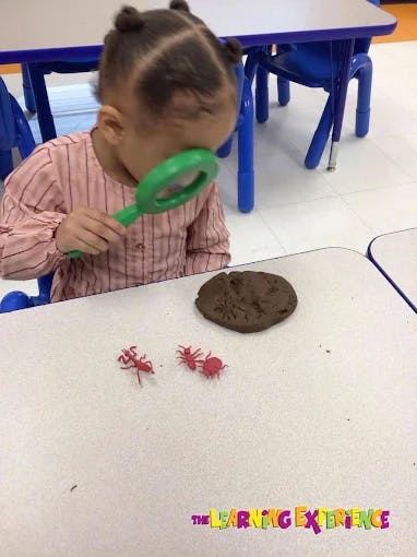 Child looking through a magnifying glass at toy ants and playdough