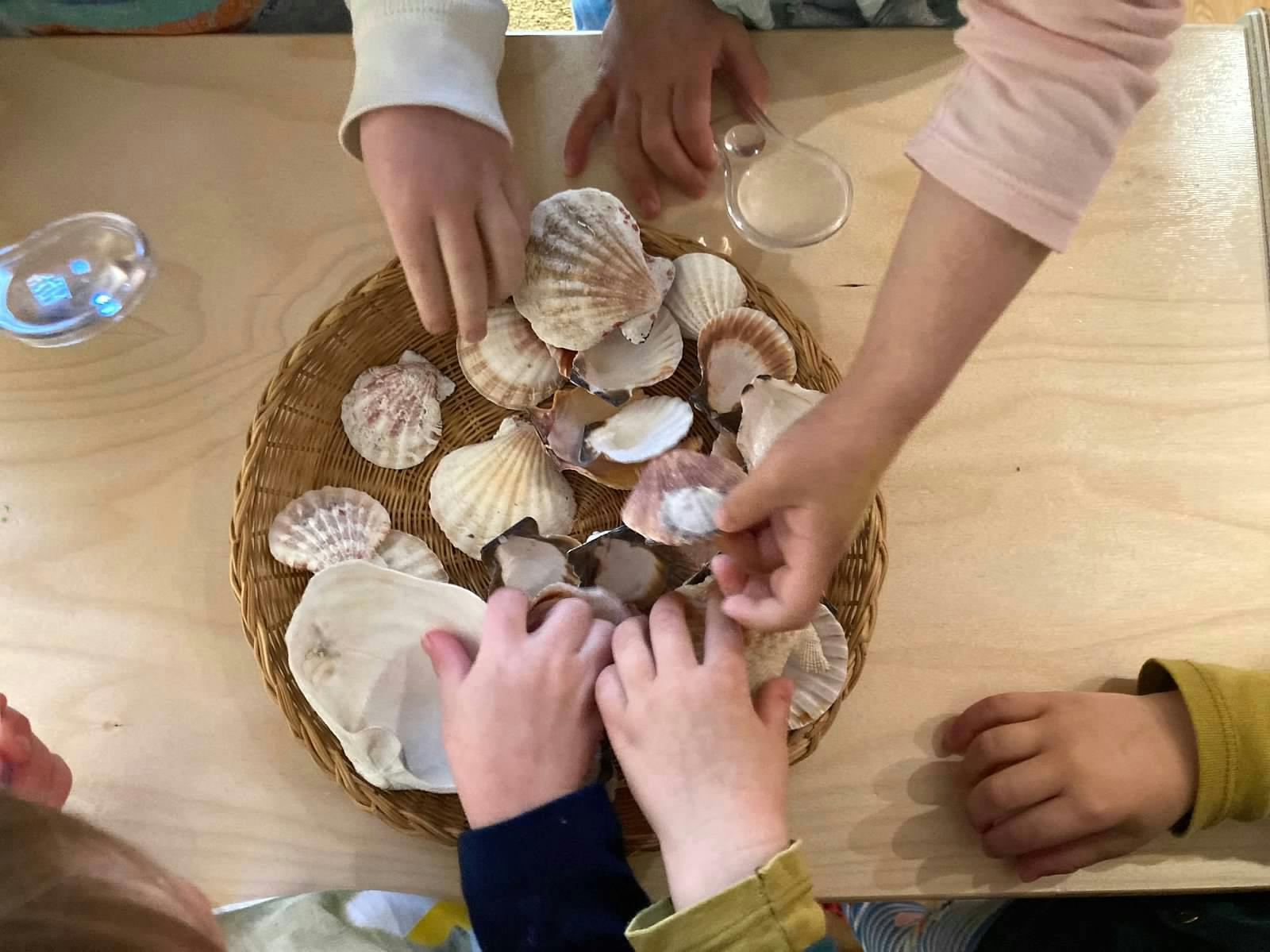 Multiple children's hands reaching for seashells in a basket